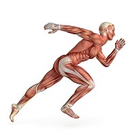 futuro braces and supports help in injury prevention and improve proprioception 